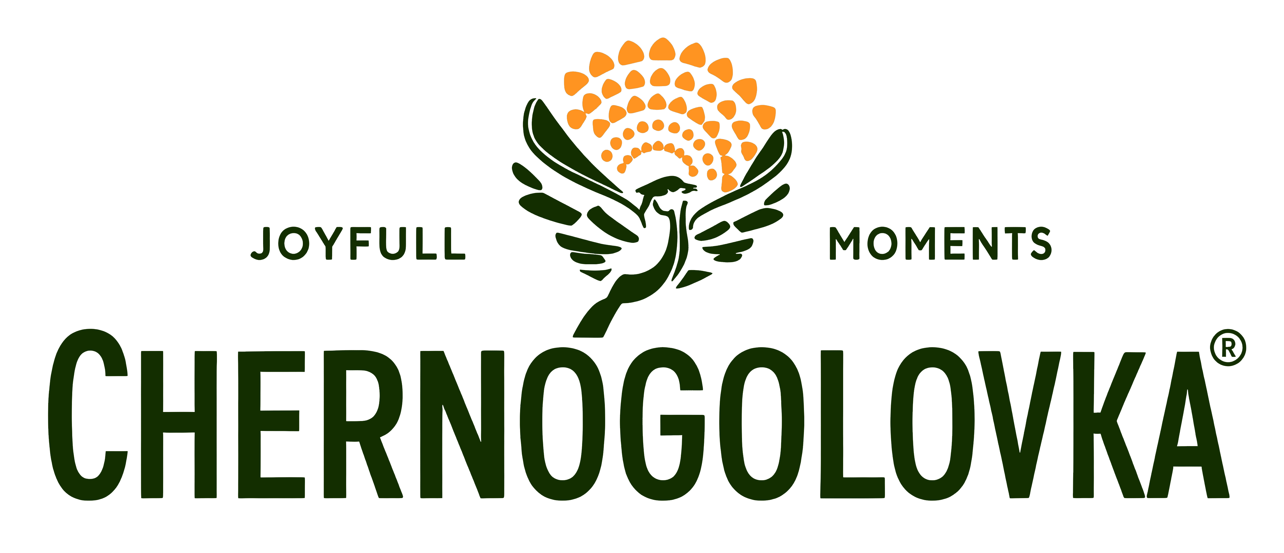 logo.png